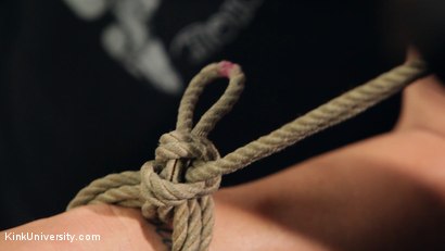 Photo number 13 from Shibari 101 - Basic Column Ties shot for Kink University on Kink.com. Featuring Kanso and True Blue in hardcore BDSM & Fetish porn.