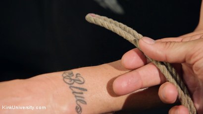 Photo number 4 from Shibari 101 - Basic Column Ties shot for Kink University on Kink.com. Featuring Kanso and True Blue in hardcore BDSM & Fetish porn.