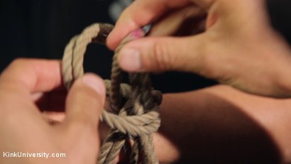 Photo number 8 from Shibari 101 - Basic Column Ties shot for Kink University on Kink.com. Featuring Kanso and True Blue in hardcore BDSM & Fetish porn.