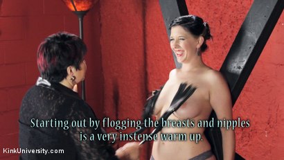 Photo number 16 from Sensual Flogging 101 - with Cleo Dubois shot for Kink University on Kink.com. Featuring Nerine Mechanique and Cleo Dubois in hardcore BDSM & Fetish porn.