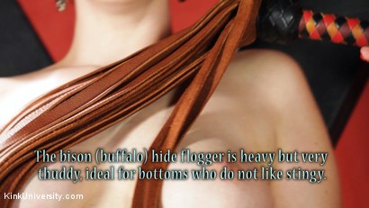 Photo number 20 from Sensual Flogging 101 - with Cleo Dubois shot for Kink University on Kink.com. Featuring Nerine Mechanique and Cleo Dubois in hardcore BDSM & Fetish porn.