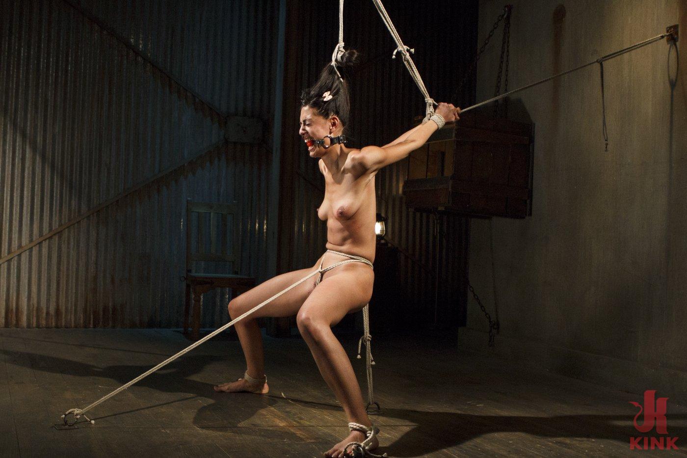 Photo number 7 from Totally Immobilized and Helpless shot for Sadistic Rope on Kink.com. Featuring Lyla Storm and The Pope in hardcore BDSM & Fetish porn.