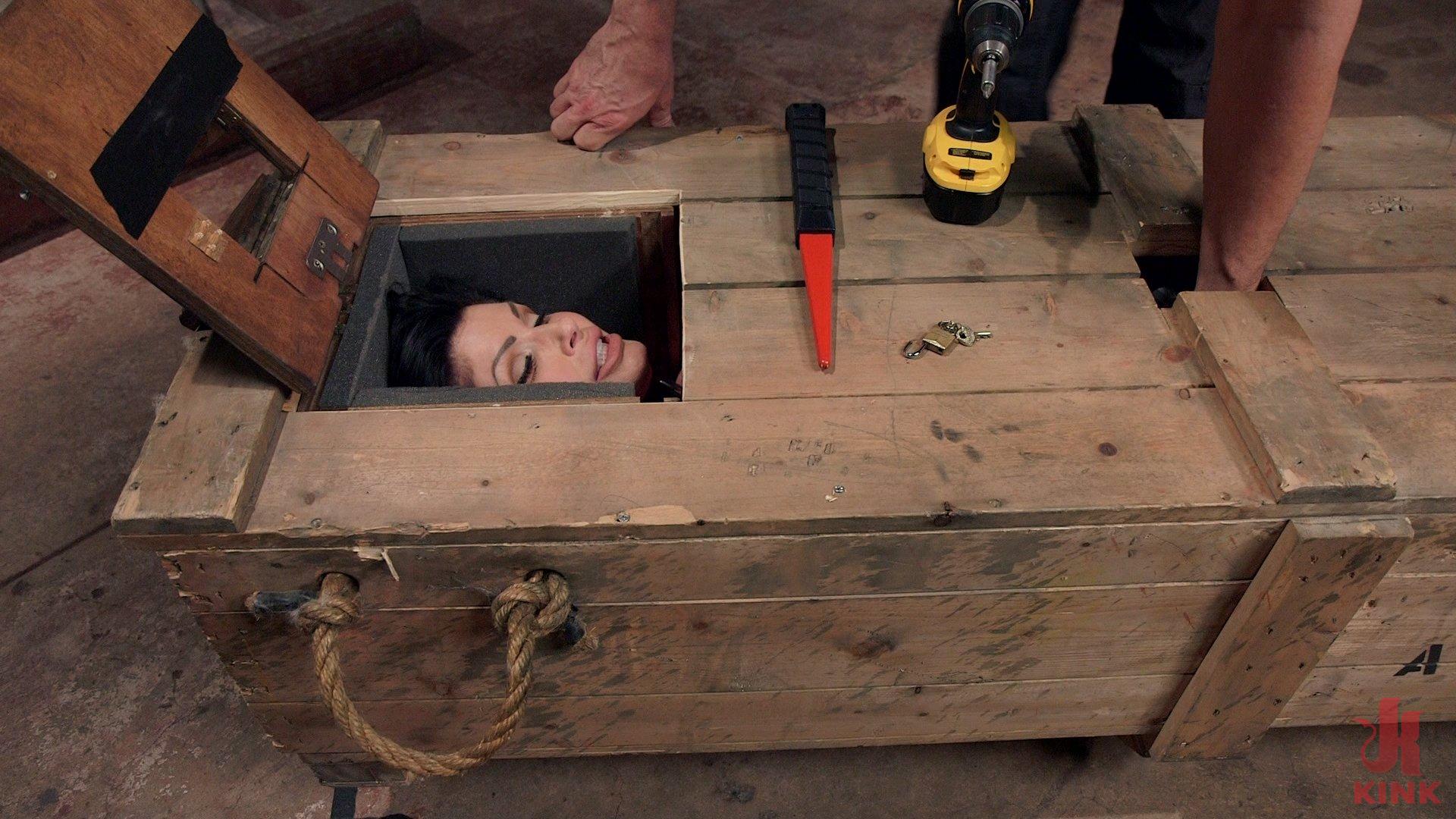 Photo number 1 from Big Tit MILF Faces Her Fears to Get Dick shot for The Training Of O on Kink.com. Featuring Shay Fox and Owen Gray in hardcore BDSM & Fetish porn.