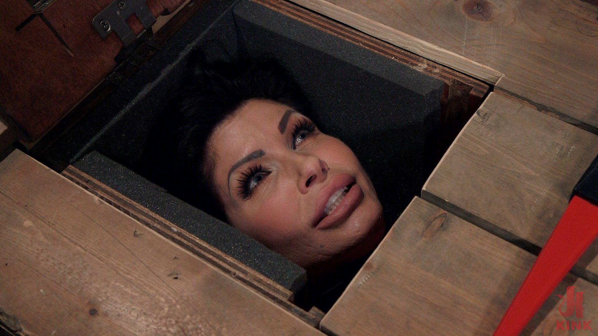 Photo number 2 from Big Tit MILF Faces Her Fears to Get Dick shot for The Training Of O on Kink.com. Featuring Shay Fox and Owen Gray in hardcore BDSM & Fetish porn.