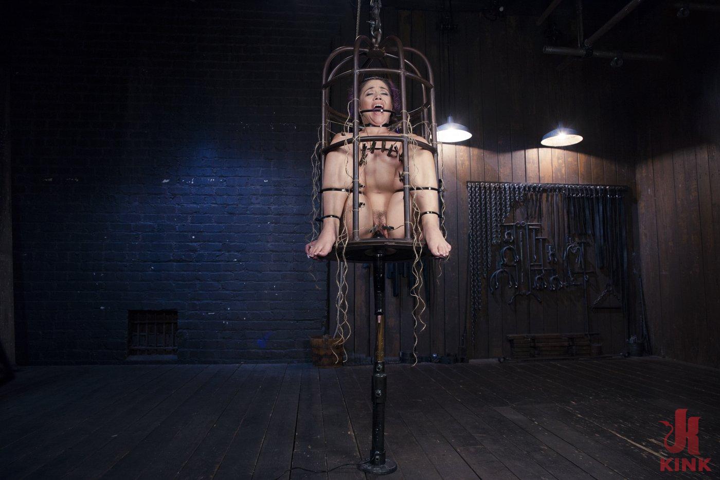 Photo number 12 from Hard Steel - Kristina Rose shot for Device Bondage on Kink.com. Featuring Kristina Rose and Orlando in hardcore BDSM & Fetish porn.