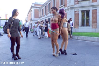 Photo number 5 from EVERY Slave Pussy Disgraced in Public European Fuckfest! shot for Public Disgrace on Kink.com. Featuring Coral Joice, Julia de Lucia, Sandra Romain and Steve Holmes in hardcore BDSM & Fetish porn.