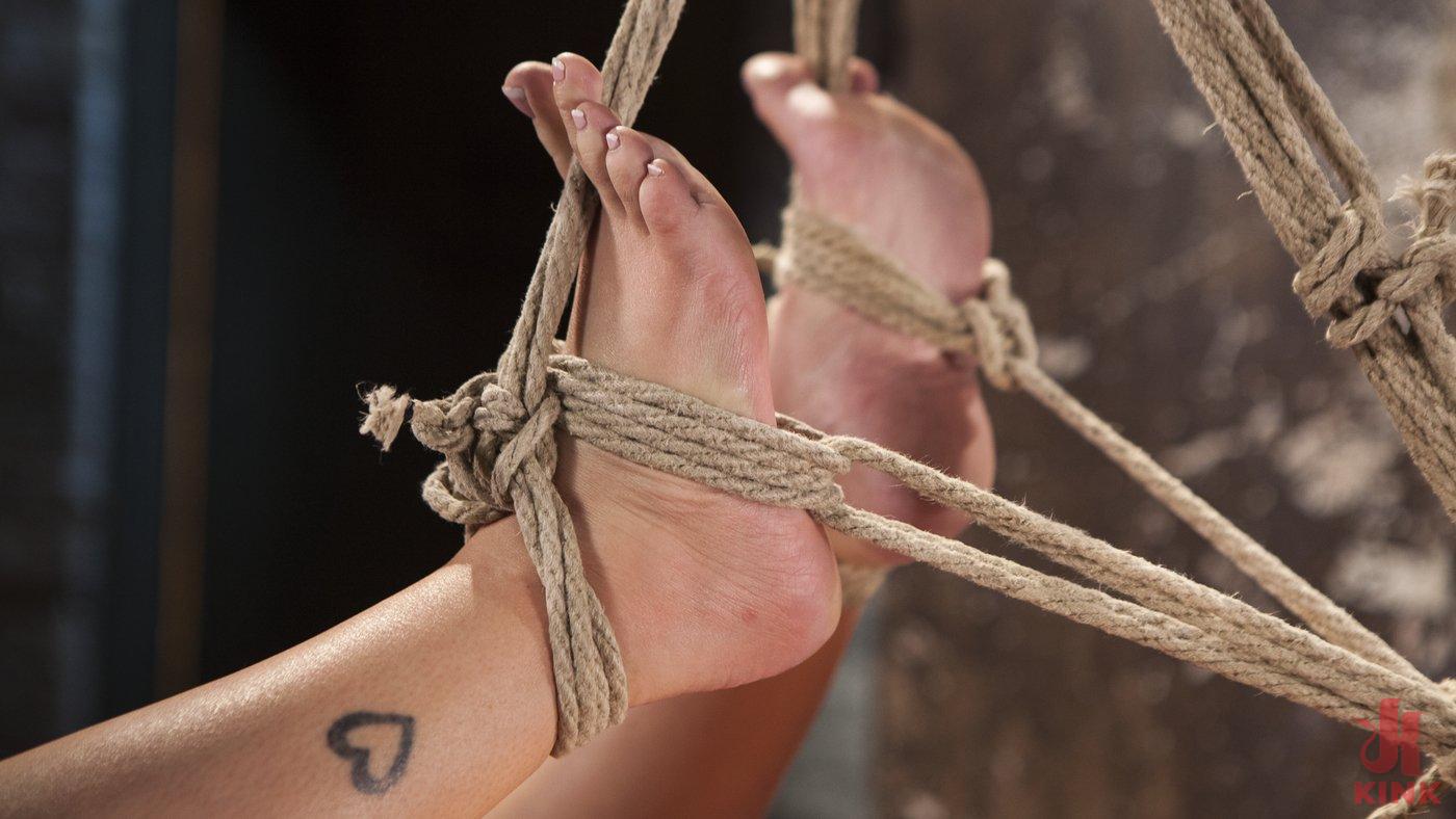 Photo number 11 from Penthouse Pet, Ava Dalush, Gets Devastated in Brutal Bondage!! shot for Hogtied on Kink.com. Featuring Ava Dalush and The Pope in hardcore BDSM & Fetish porn.