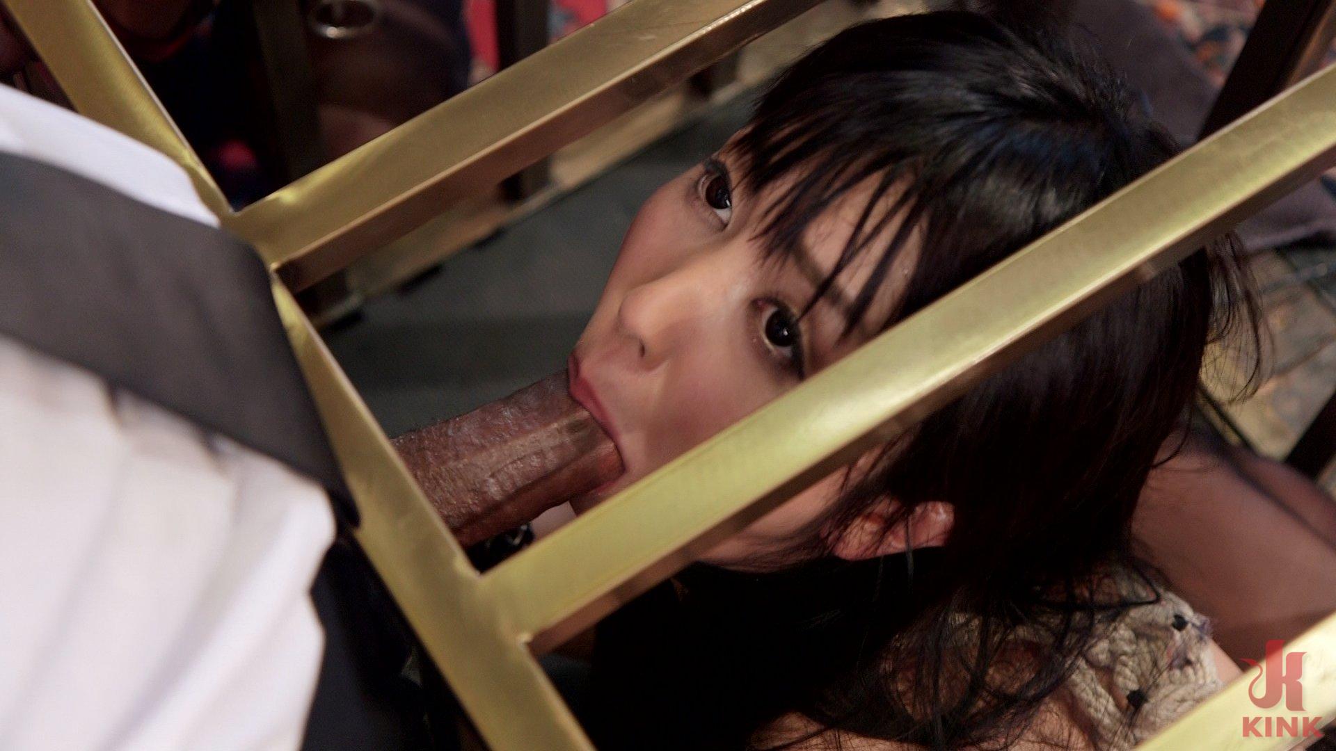 Photo number 3 from An Evil Anal Slave and Her New Pet shot for The Upper Floor on Kink.com. Featuring Mona Wales, Marica Hase and Mickey Mod in hardcore BDSM & Fetish porn.