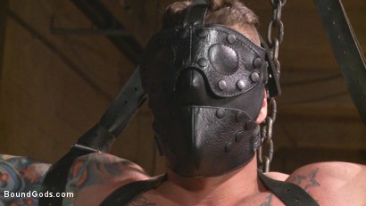 Photo number 0 from Muscled leather hunk at the mercy of Mr. Ducati shot for Bound Gods on Kink.com. Featuring Trenton Ducati and Hugh Hunter in hardcore BDSM & Fetish porn.