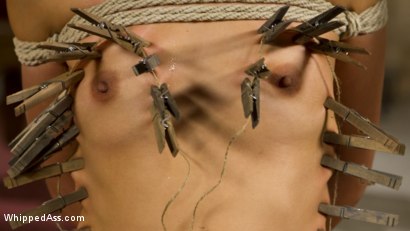 Photo number 10 from Submissive Lesbian Sex Toy: Spanking, Fisting & Anal Strap-on! shot for Whipped Ass on Kink.com. Featuring Mona Wales and Vivi Marie in hardcore BDSM & Fetish porn.