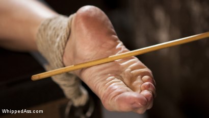 Photo number 6 from Bitchy Bratty Barbie: Porn Slut Tormented and Anally Dominated! shot for Whipped Ass on Kink.com. Featuring Cherry Torn and Nikki Delano in hardcore BDSM & Fetish porn.