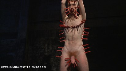 Photo number 6 from Extreme Water Torment  and Bad-Dragon Dildo shot for 30 Minutes of Torment on Kink.com. Featuring Seamus O'Reilly in hardcore BDSM & Fetish porn.