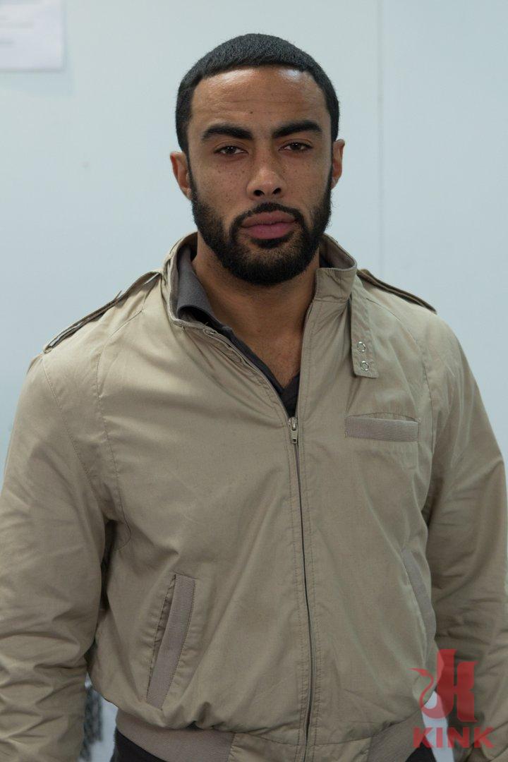 Stallion BDSM - Beard