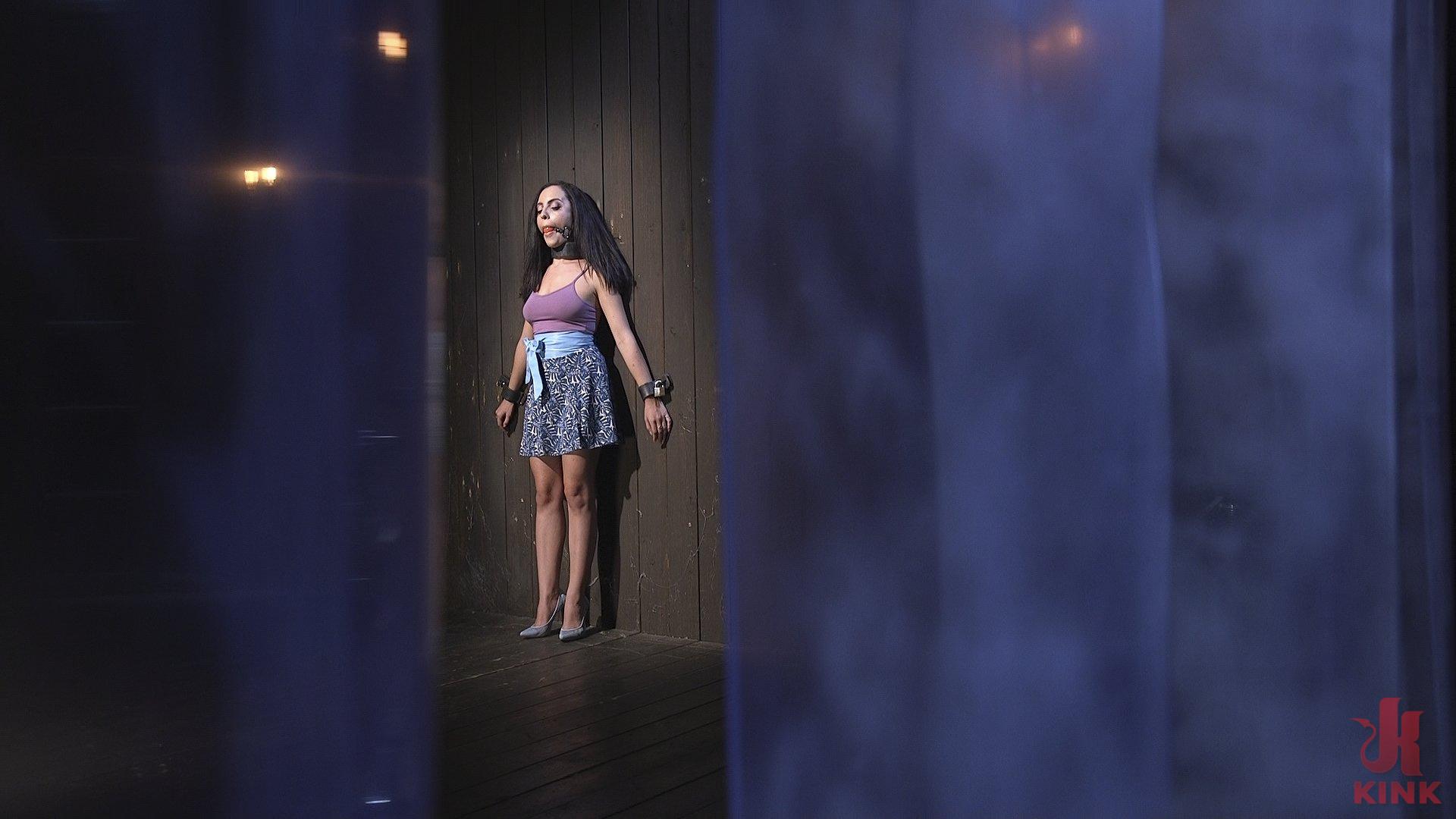 Photo number 0 from Walking the Walk shot for Device Bondage on Kink.com. Featuring Roxanne Rae and The Pope in hardcore BDSM & Fetish porn.