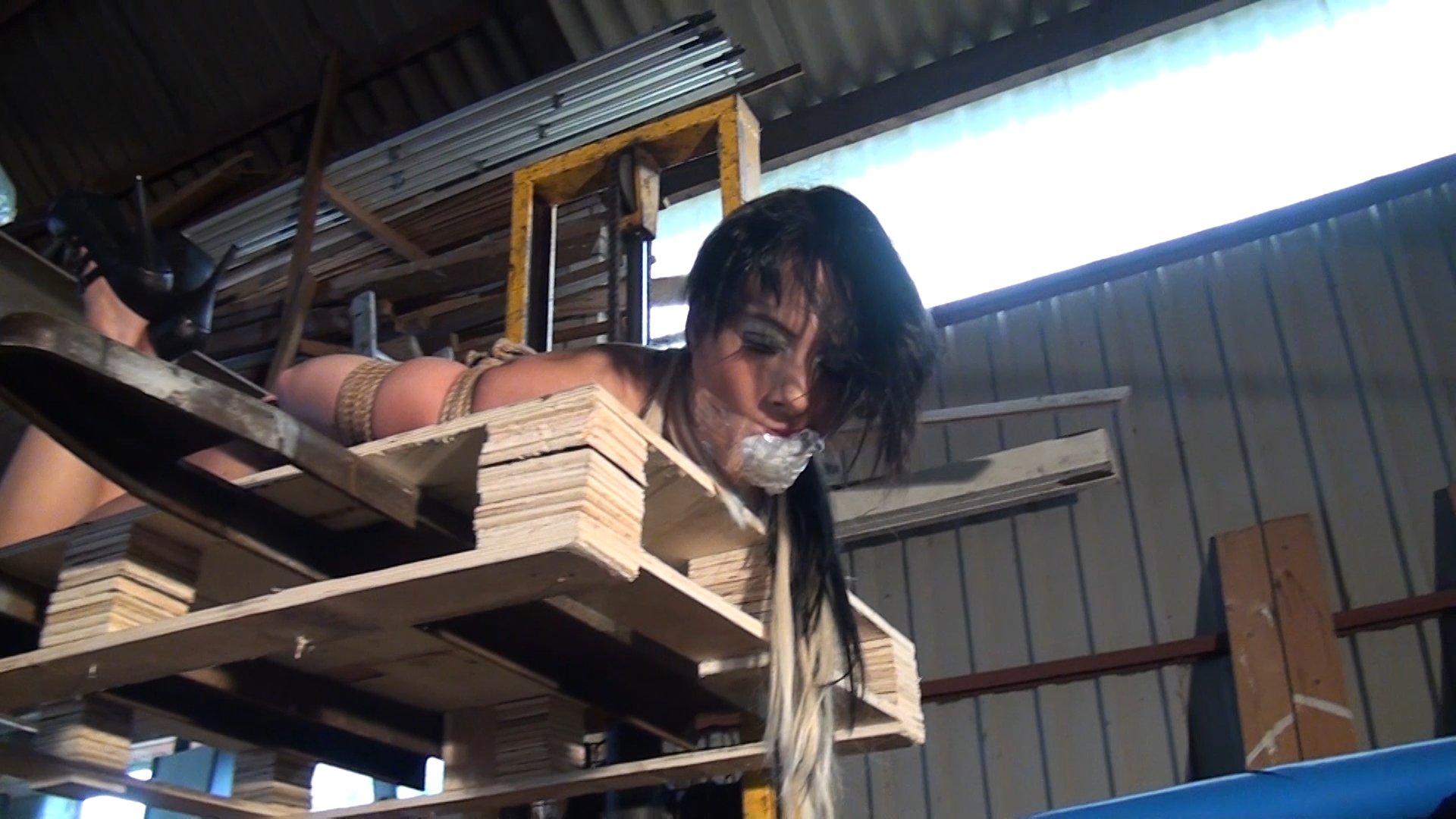 Photo number 14 from Leyla gets Hogtied, Tape-Gagged, and Forklifted! shot for Submissed on Kink.com. Featuring Leyla Gold and Ar in hardcore BDSM & Fetish porn.