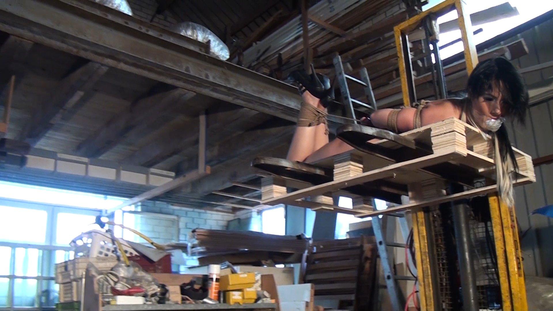 Photo number 15 from Leyla gets Hogtied, Tape-Gagged, and Forklifted! shot for Submissed on Kink.com. Featuring Leyla Gold and Ar in hardcore BDSM & Fetish porn.