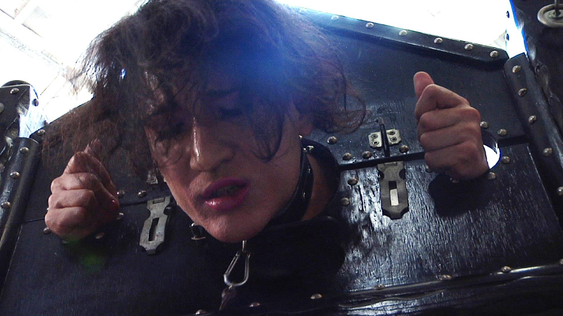 Photo number 17 from Mistress Cybill Troy is a Metallic Torment Queen shot for Severe Sex Films on Kink.com. Featuring Cybill Troy and Tener Duende in hardcore BDSM & Fetish porn.