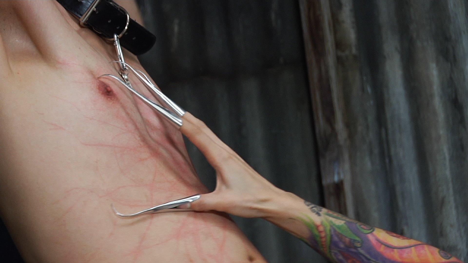 Photo number 9 from Mistress Cybill Troy is a Metallic Torment Queen shot for Severe Sex Films on Kink.com. Featuring Cybill Troy and Tener Duende in hardcore BDSM & Fetish porn.