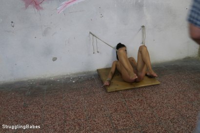 Photo number 14 from Powerless Eveline is Dildo Fucked While Vibrated shot for Submissed on Kink.com. Featuring Eveline Delay and Ar in hardcore BDSM & Fetish porn.