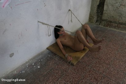 Photo number 28 from Powerless Eveline is Dildo Fucked While Vibrated shot for Submissed on Kink.com. Featuring Eveline Delay and Ar in hardcore BDSM & Fetish porn.