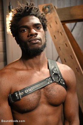 Devin Trez BDSM - Big Dick