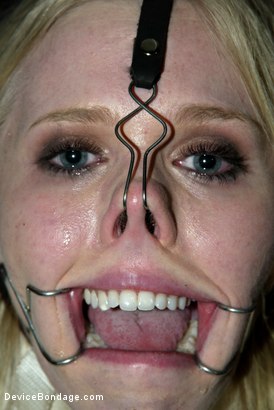 Photo number 12 from CLASSIC SHOOT WITH CYD BLACK, SARAH JANE CEYLON, AND CLAIRE ADAMS! shot for Device Bondage on Kink.com. Featuring Sarah Jane Ceylon and Claire Adams in hardcore BDSM & Fetish porn.