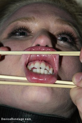 Photo number 7 from CLASSIC SHOOT WITH CYD BLACK, SARAH JANE CEYLON, AND CLAIRE ADAMS! shot for Device Bondage on Kink.com. Featuring Sarah Jane Ceylon and Claire Adams in hardcore BDSM & Fetish porn.