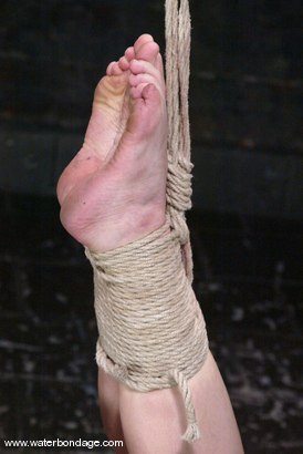 Photo number 2 from What a Darling! shot for Water Bondage on Kink.com. Featuring Dee Williams in hardcore BDSM & Fetish porn.