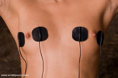 Photo number 9 from Sandra's Farm: Breaking in Jenna, Lea and Claudia shot for Wired Pussy on Kink.com. Featuring Sandra Romain, Jenna Lovely, Lea Lexis and Claudia Jamsson in hardcore BDSM & Fetish porn.