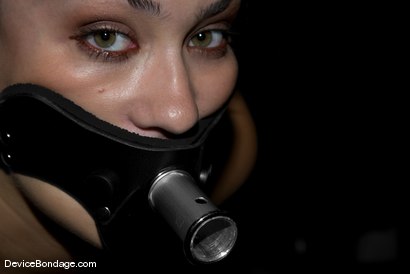 Photo number 3 from KINK Classic 2 of 20. Countdown to relaunch! shot for Device Bondage on Kink.com. Featuring Sasha Grey and Trina Michaels in hardcore BDSM & Fetish porn.