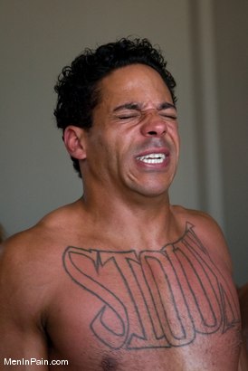 Photo number 9 from Using Lobo shot for Men In Pain on Kink.com. Featuring Sabrina Fox and Lobo in hardcore BDSM & Fetish porn.